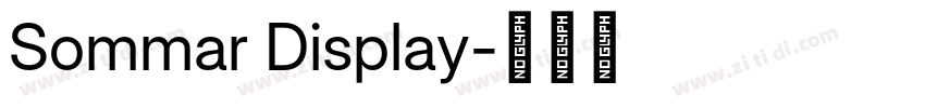 Sommar Display字体转换